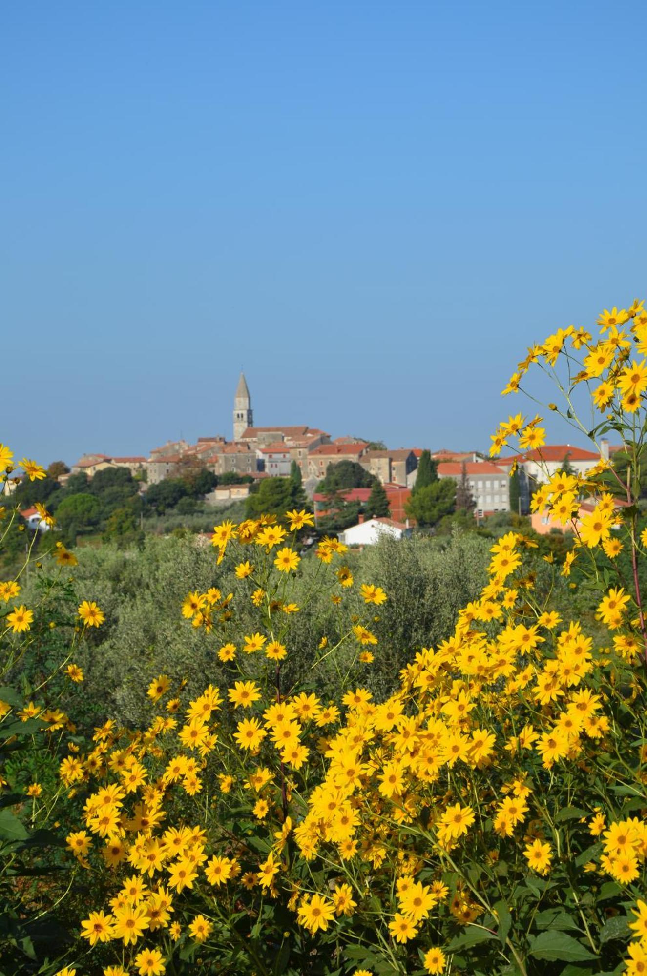 Villa Olivetta By Istrian Country Houses Барат Экстерьер фото
